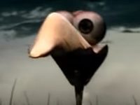   (2003) 
