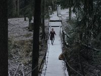  (2023) 

