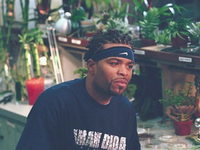   (2001)