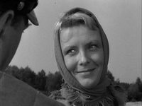   (1963) -  14