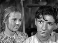   (1950) 
