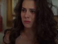  (2017)