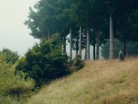 Z -   (2015) -  11