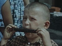     (1962) 
