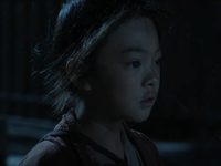  .    (2024) 
