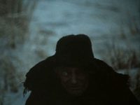   (1982)