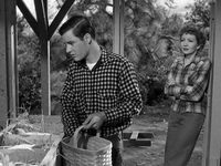    (1947) -  2