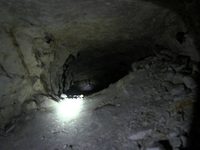  (2013) -  10