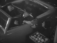   (1937)