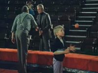    (1986) 
