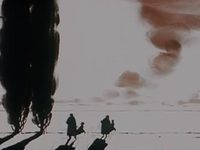    (2000)
