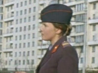    (1981)