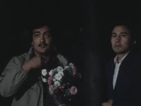   (1986)