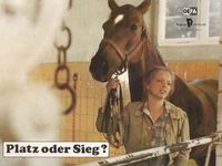   ? (1980) 
