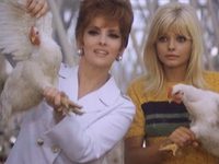 ,   (1968) 
