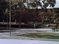 ,    (1982) -  4
