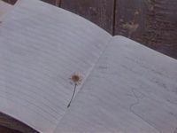   ? (1987) -  12