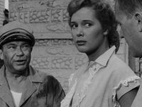  (1955) 
