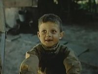  (1986) -  28