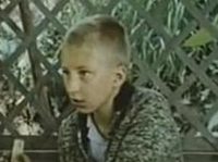  (1986)