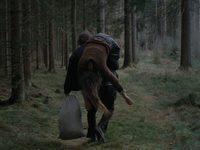  (2024) 
