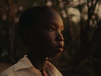 (2024) 
