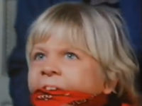   .    (1982)