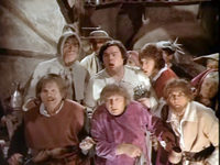  (1976) -  14
