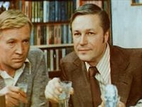    (1981)
