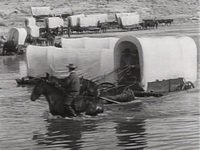   (1923) 
