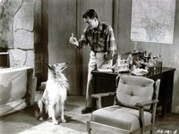   (1957) 
