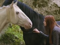   2 (2015)