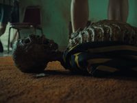  .   (2022) 
