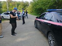 Мститель. Страшный лес (2023) 
фотографии