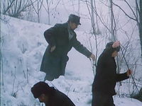  (1985) 
