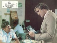  (1981) 
