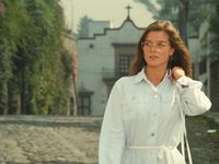  (1981)