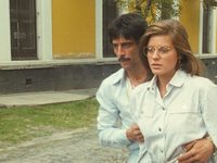  (1981) -  31