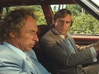  (1981)