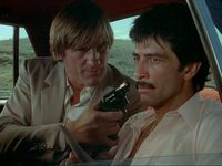  (1981)