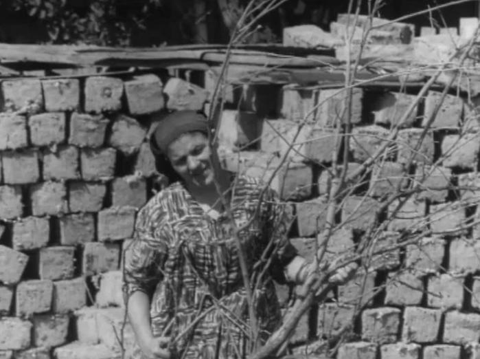 Канатоходец 1972 фильм