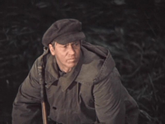   (1973-1983) -  