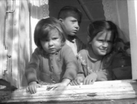   (1962)