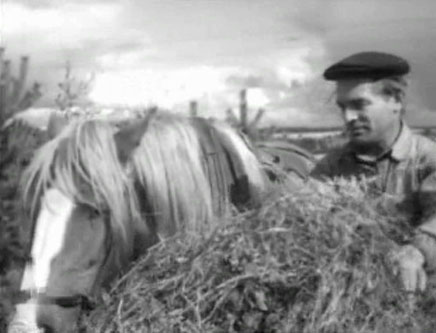   (1962)