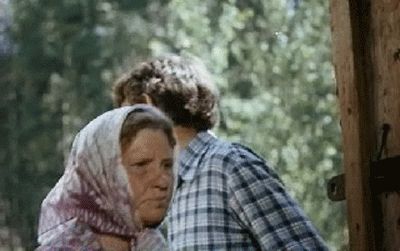 ,    (1981-1982)