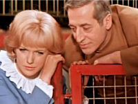 Чёрная пантера (1966) фотографии