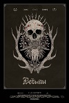 Ведьмы (2017)