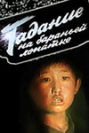    (1988)