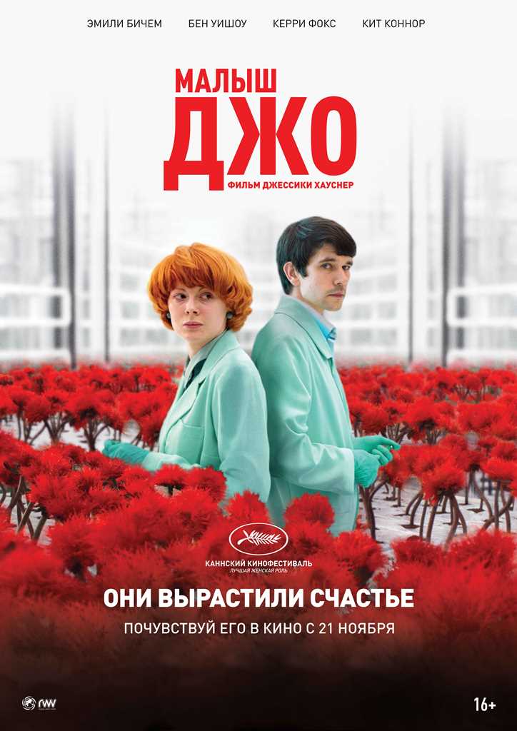   (2019)