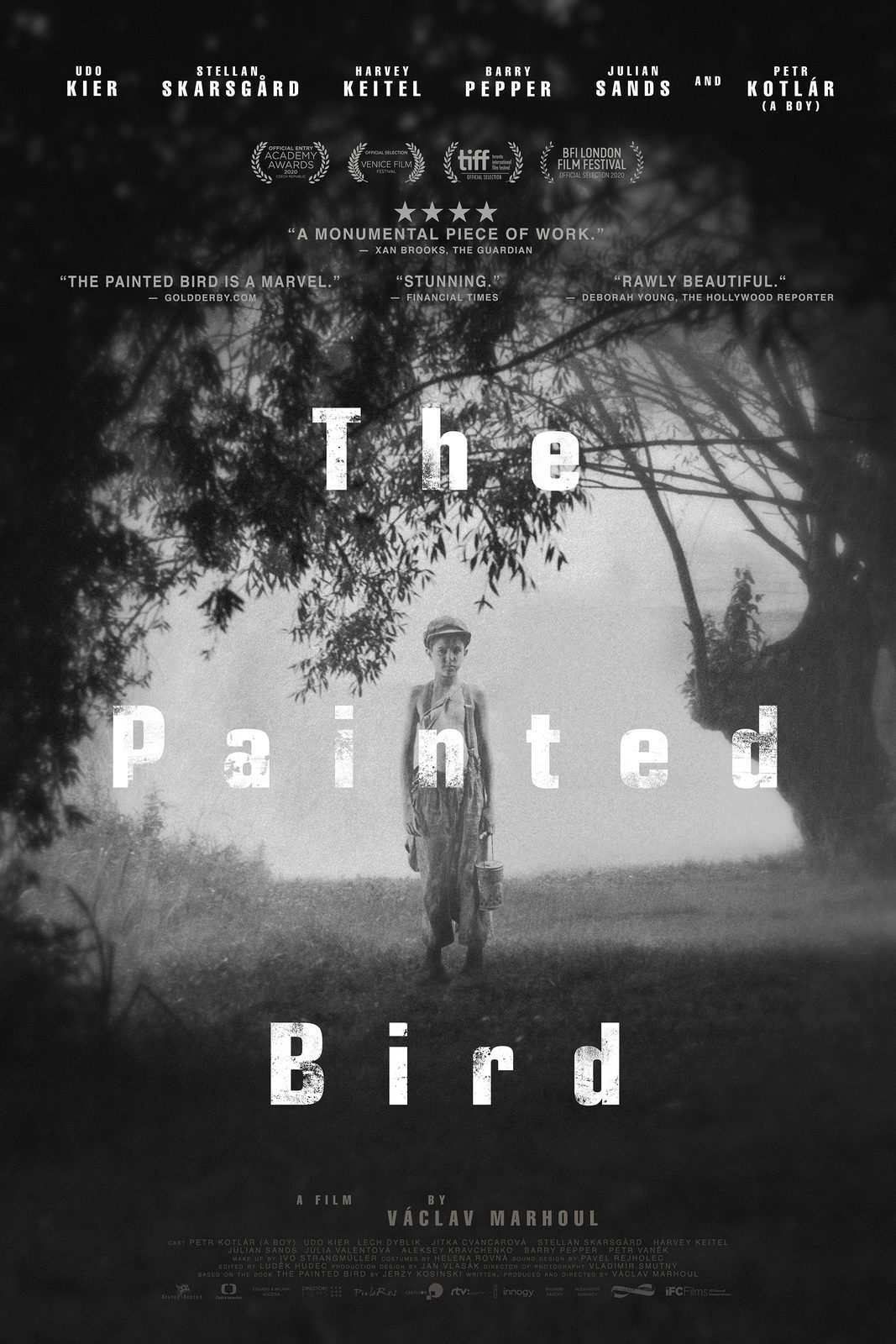   (2019)